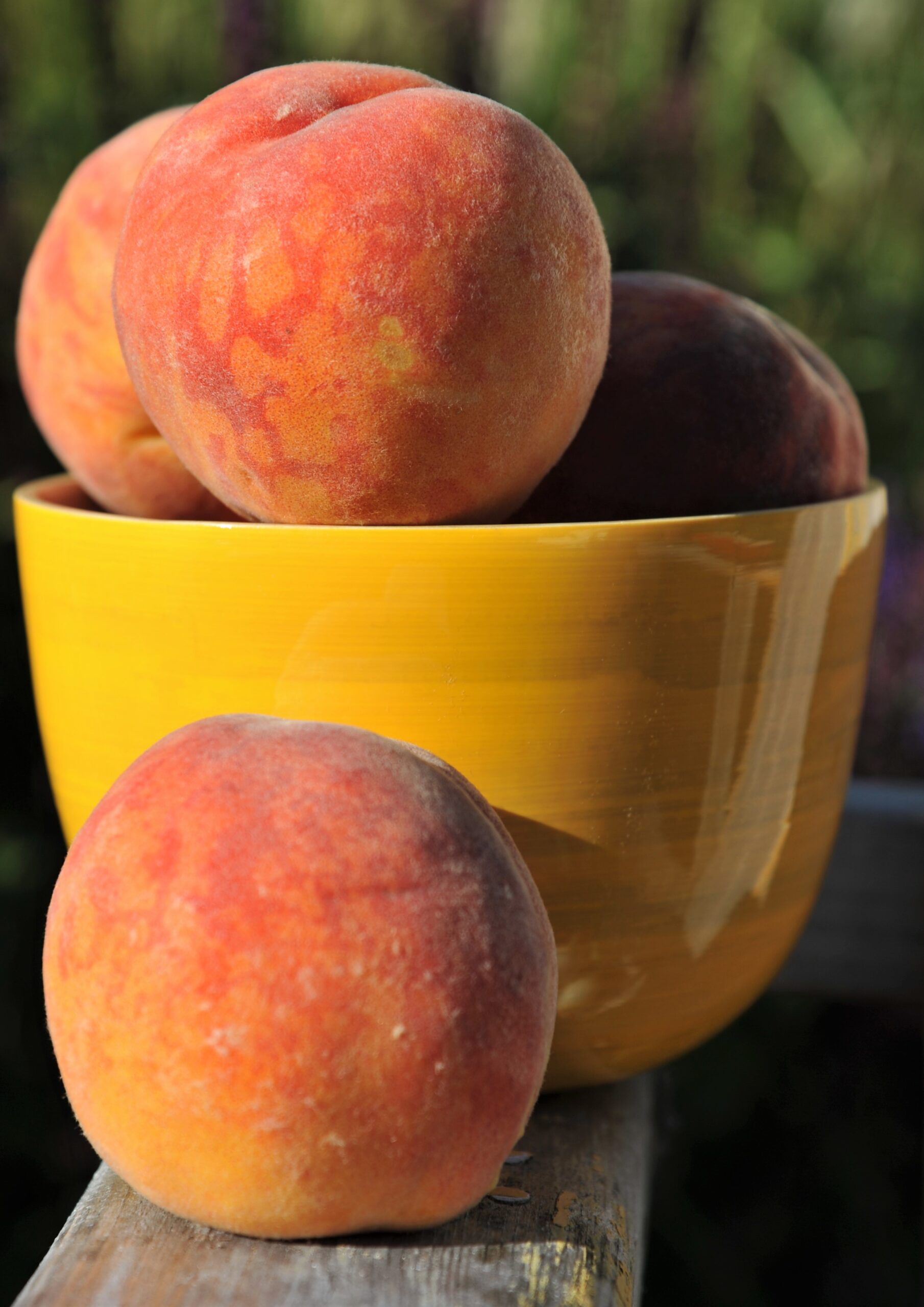 Peach And 15 X10